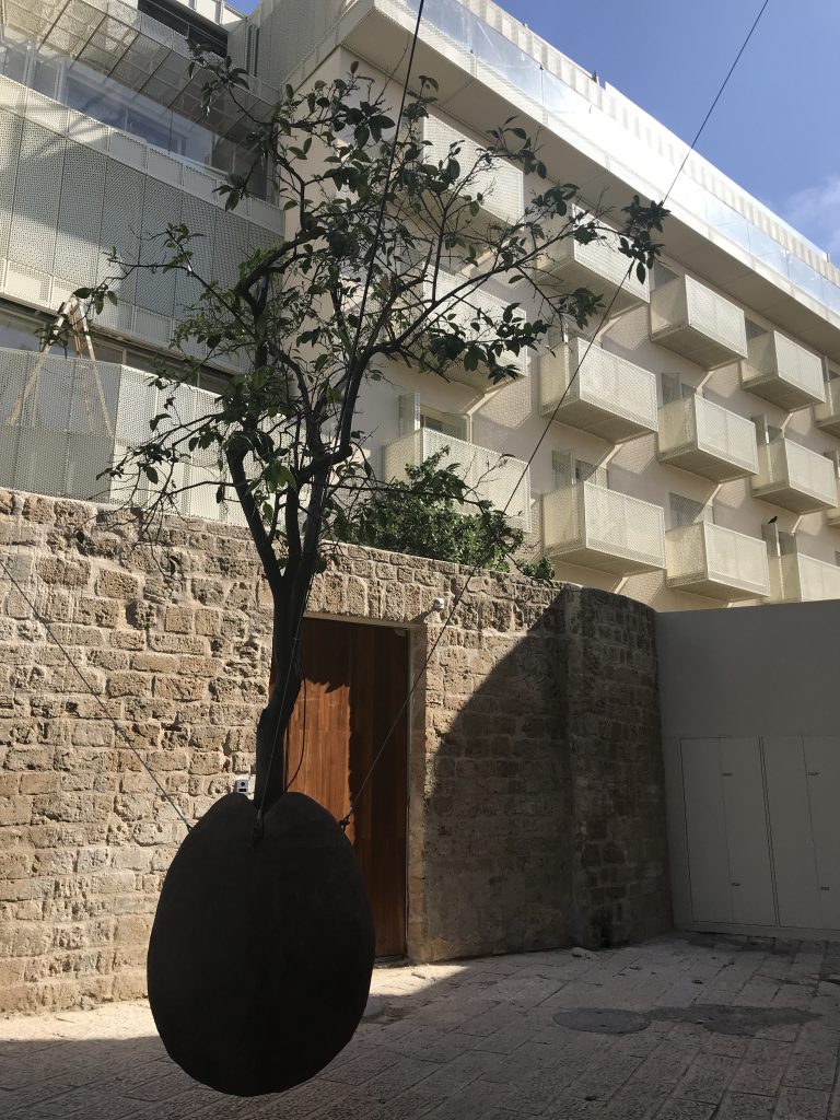Suspended Orange tree in Jaffa, Tel Aviv
