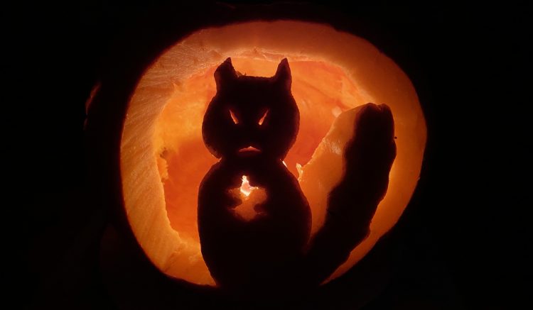Jack-O-Lantern Squirrel