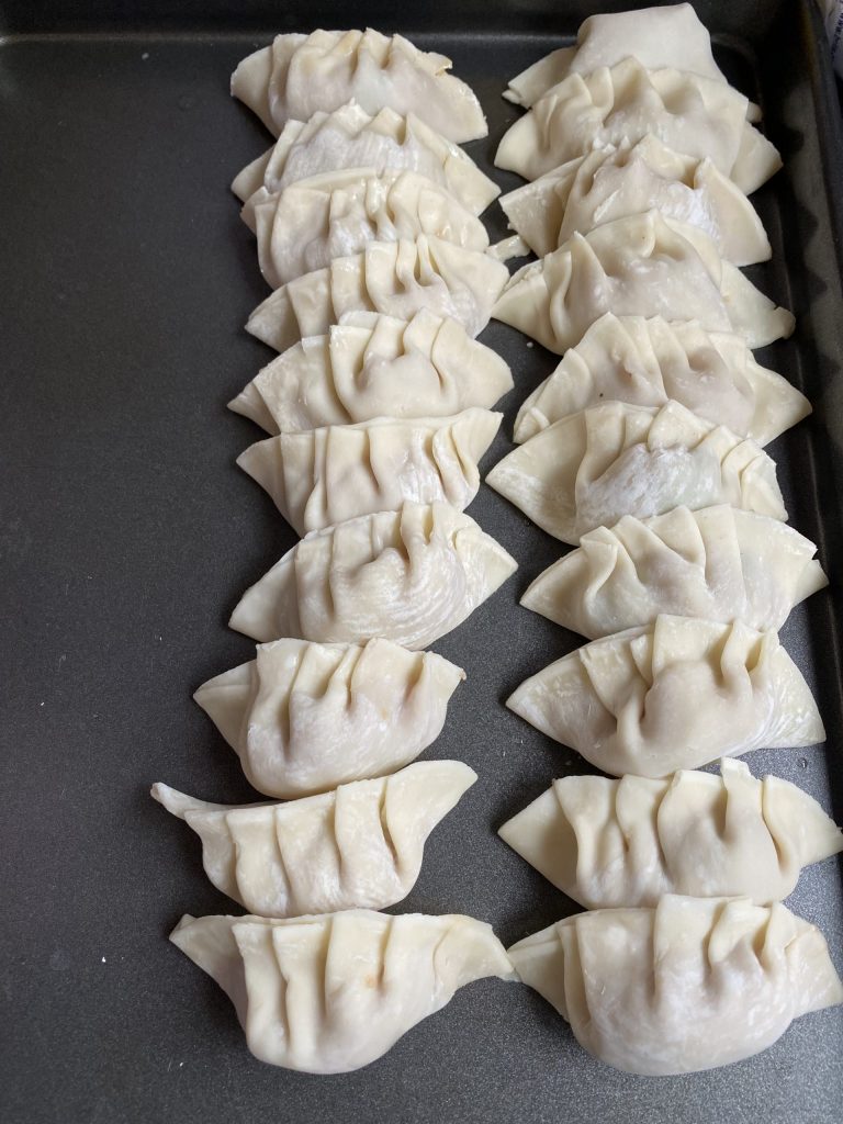 Freshly folded dumplings