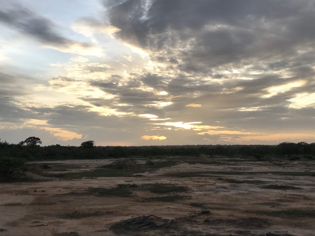 Yala National Park sunset