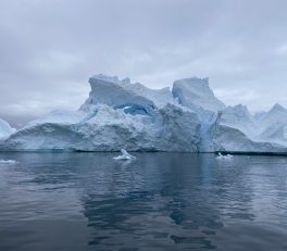 Midnight ice fjord cruise - beautiful iceberg