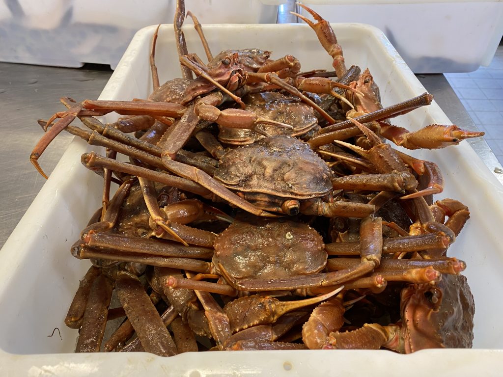 Crabs at the Qaqortoq fish market