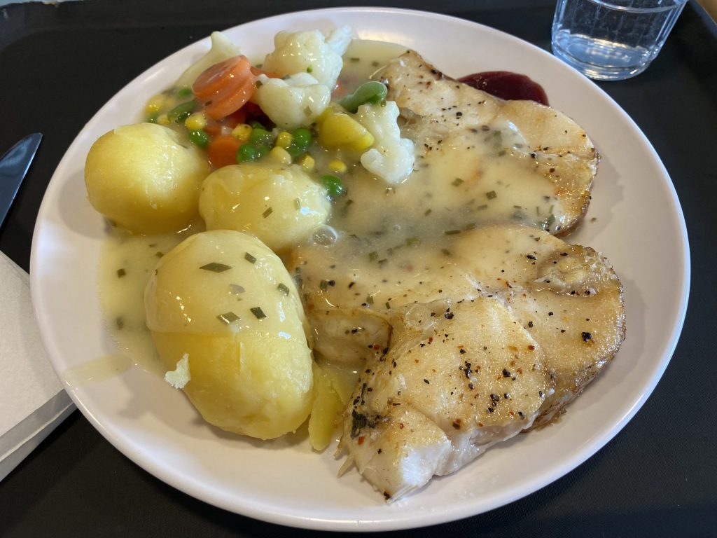 Dinner- red fish, potatoes and vegetables