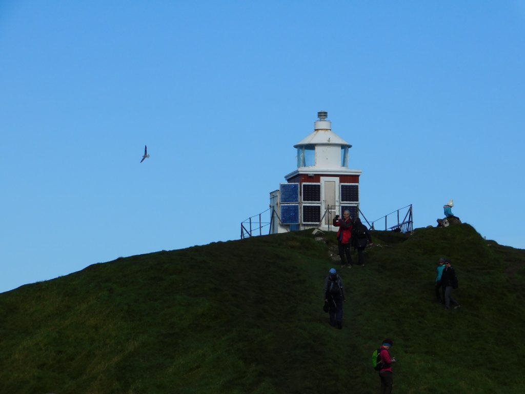 Kallur lighthouse with a swooping bird