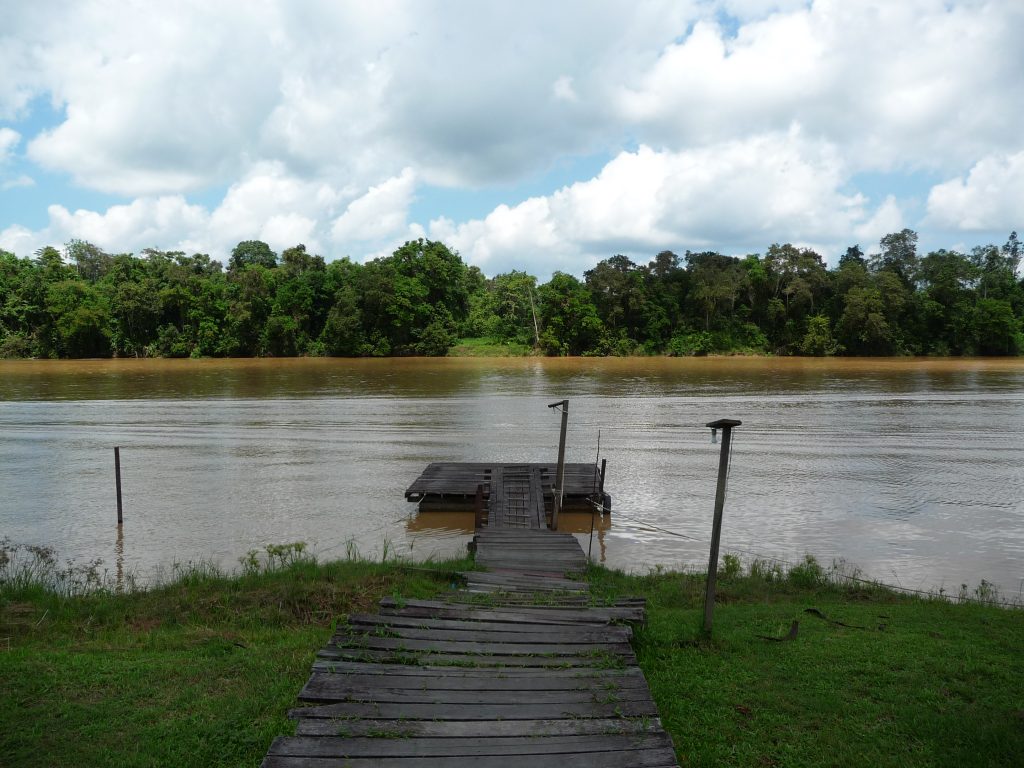 Kinabatangan river, Sukau, Borneo