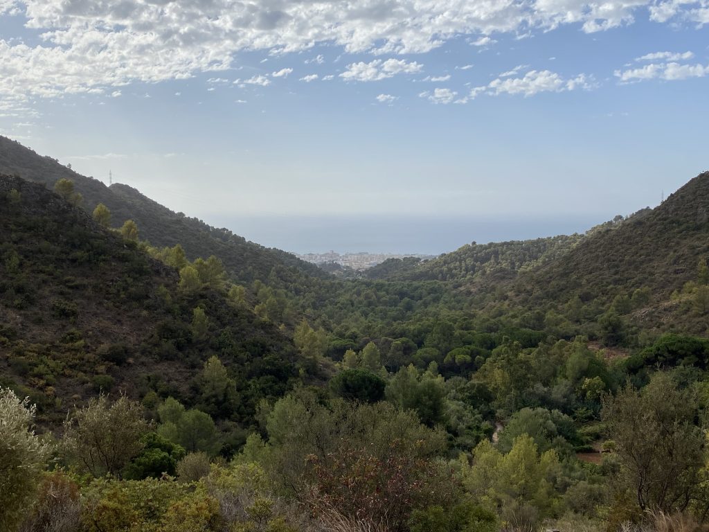 View on Hike from Marbella to Juanar