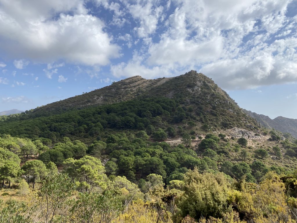 View on Hike from Marbella to Juanar