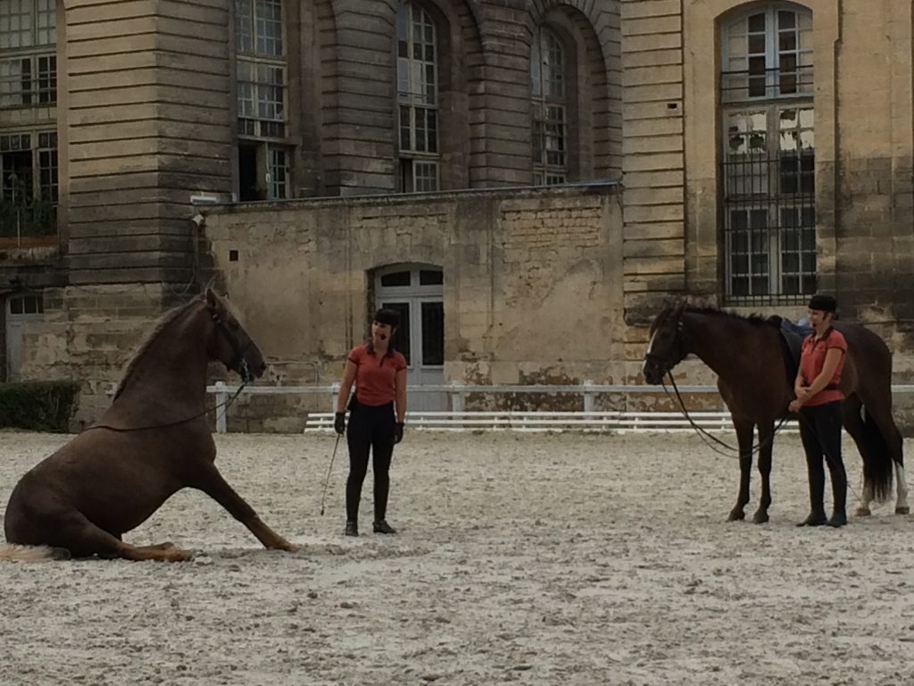 Chantilly Horses