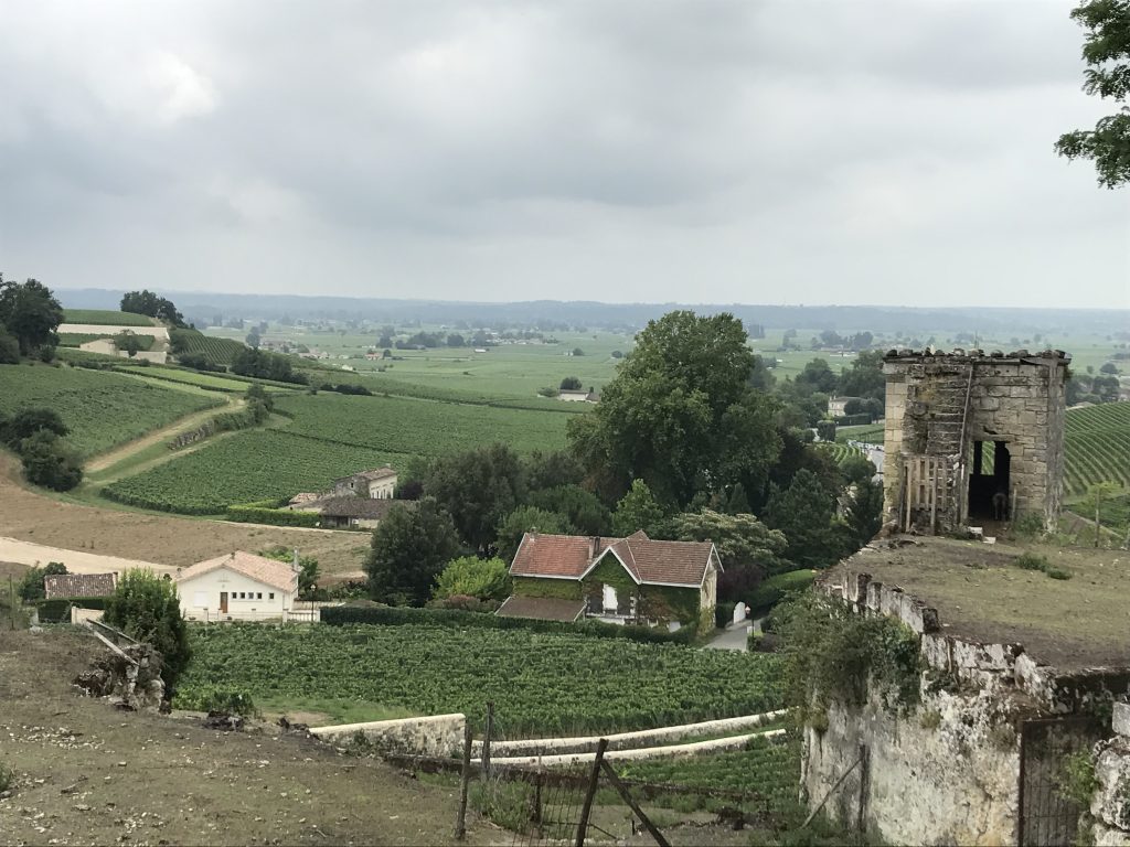 Countryside of Saint-Émilion