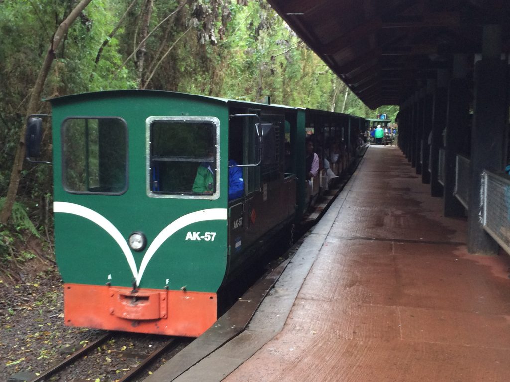 Iguazu Falls train