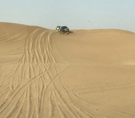 Dune bashing in the Dubai desert