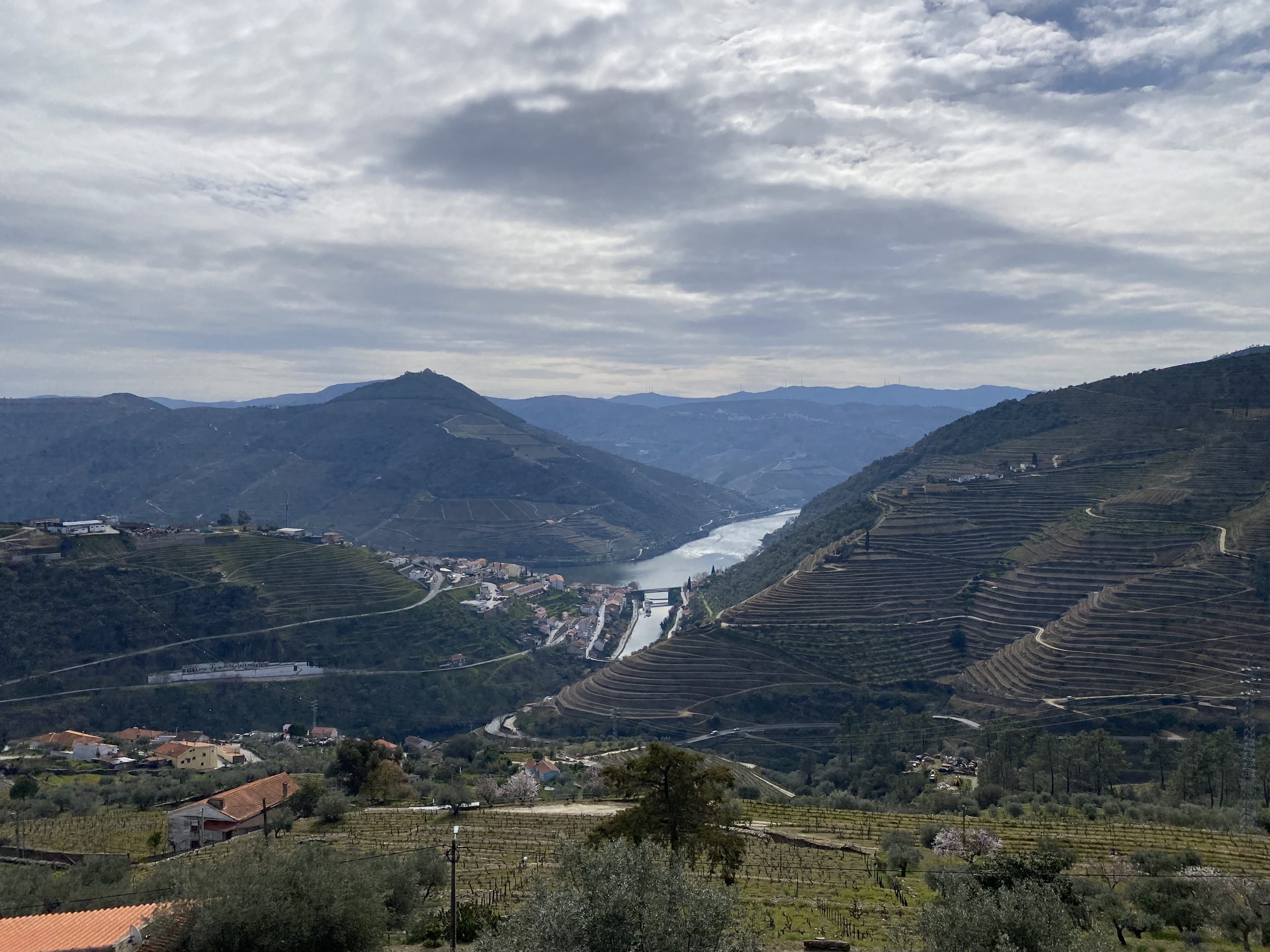 Traditional schist stone walls in Douro Valley vineyards