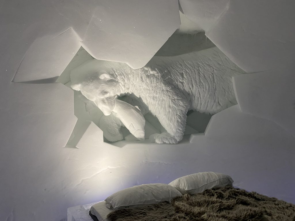 Bear and fish room, Tromsø Ice Domes