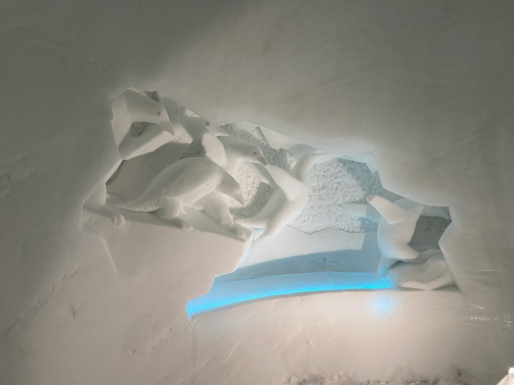 Penguin room, Tromsø Ice Domes