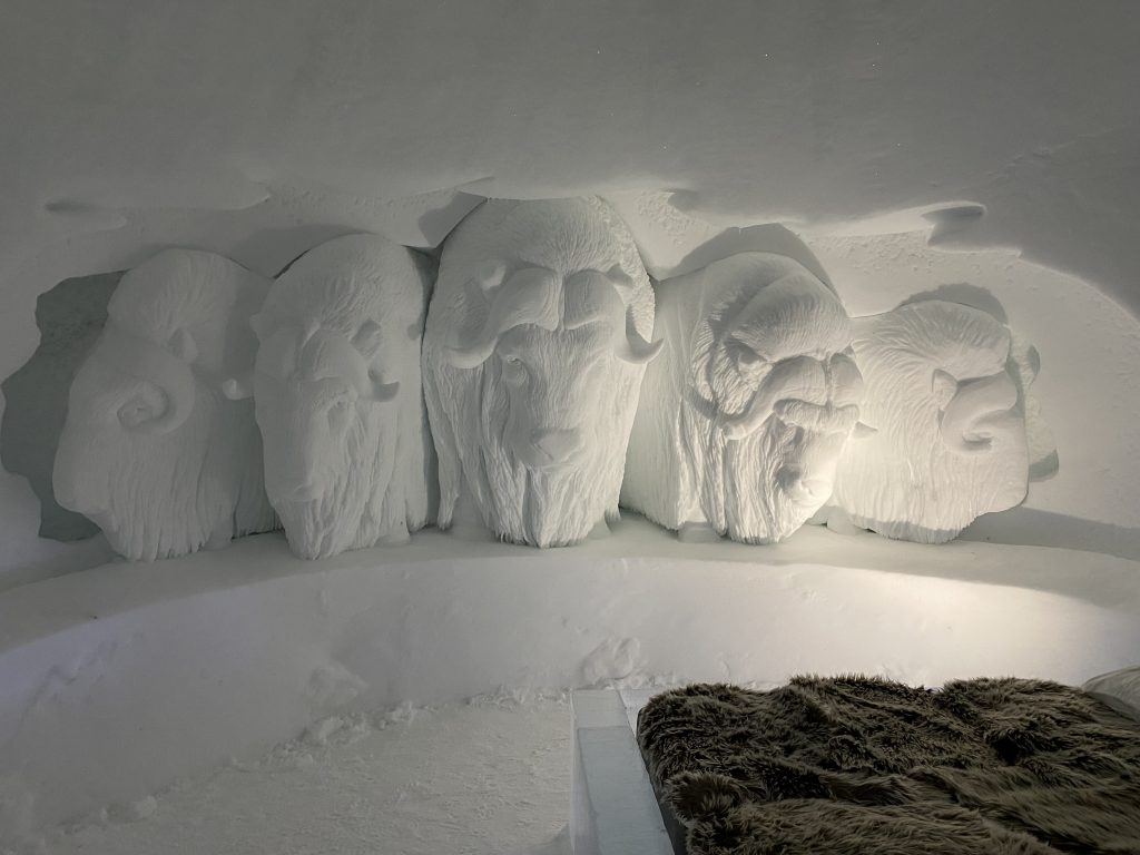 Muskox room, Tromsø Ice Domes