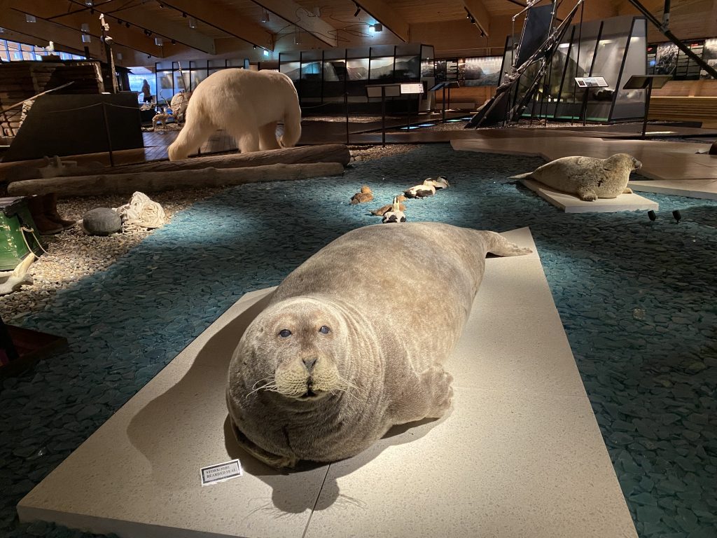 Svalbard Museum