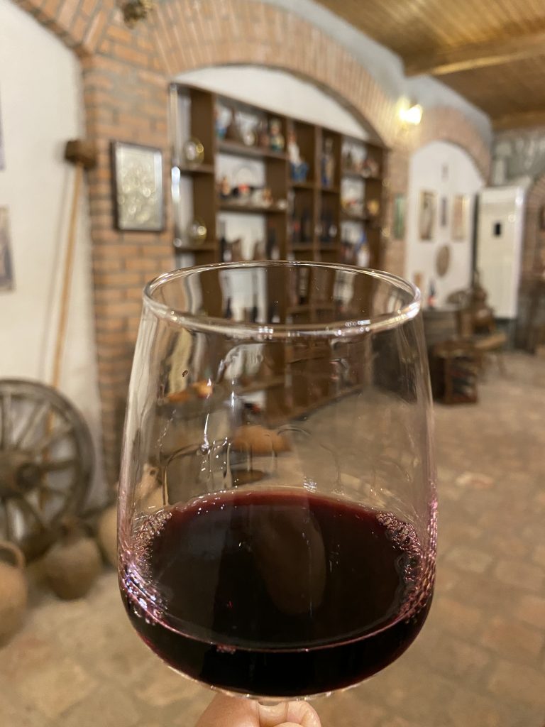 Sekhnika Winery, tasting saparavi