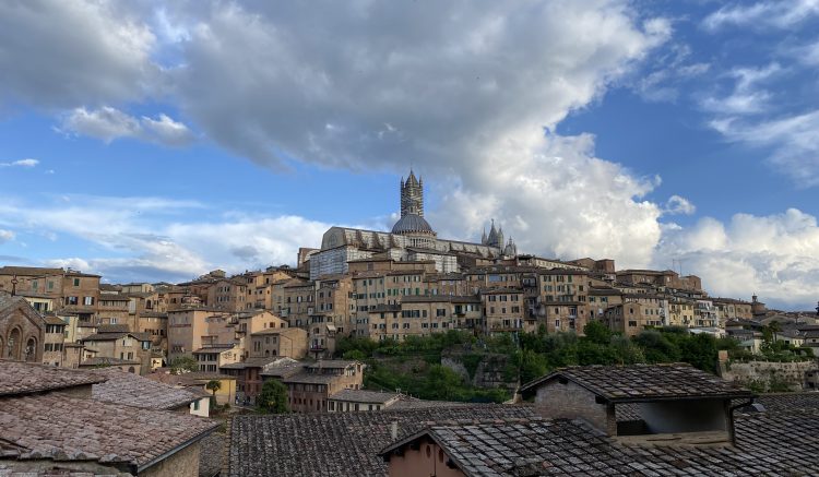View of Siena Duomo and the city