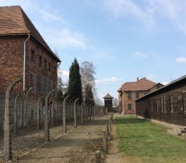 Guard tower and fences in Auschwitz