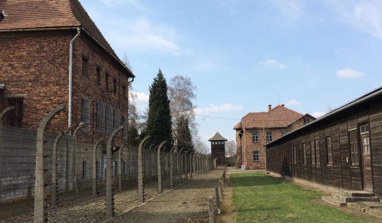 Guard tower and fences in Auschwitz