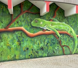 Street art in San Nicolas, Aruba