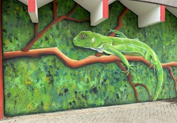Street art in San Nicolas, Aruba