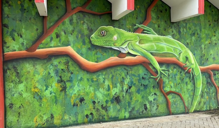 Street art in San Nicolas, Aruba