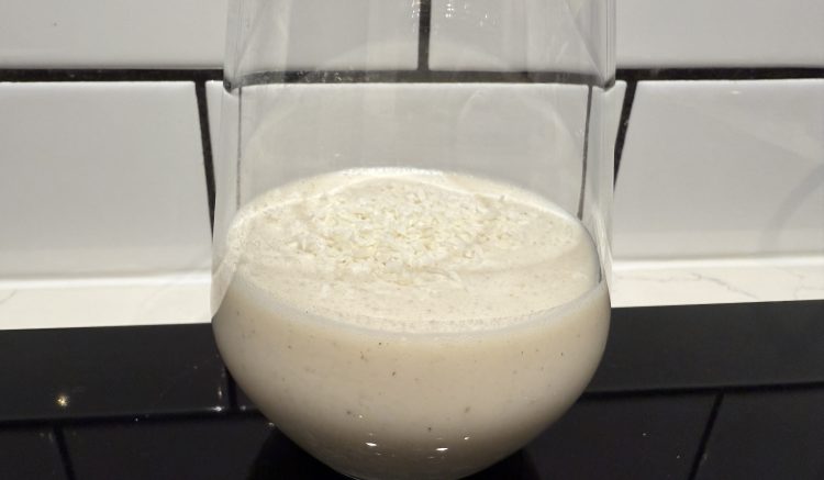 Puerto Rico Coquito