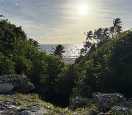 Bottom Bay, Barbados
