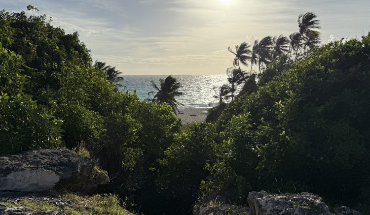 Bottom Bay, Barbados
