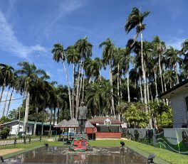 Palm tree garden, Paramaribo