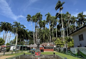 Palm tree garden, Paramaribo